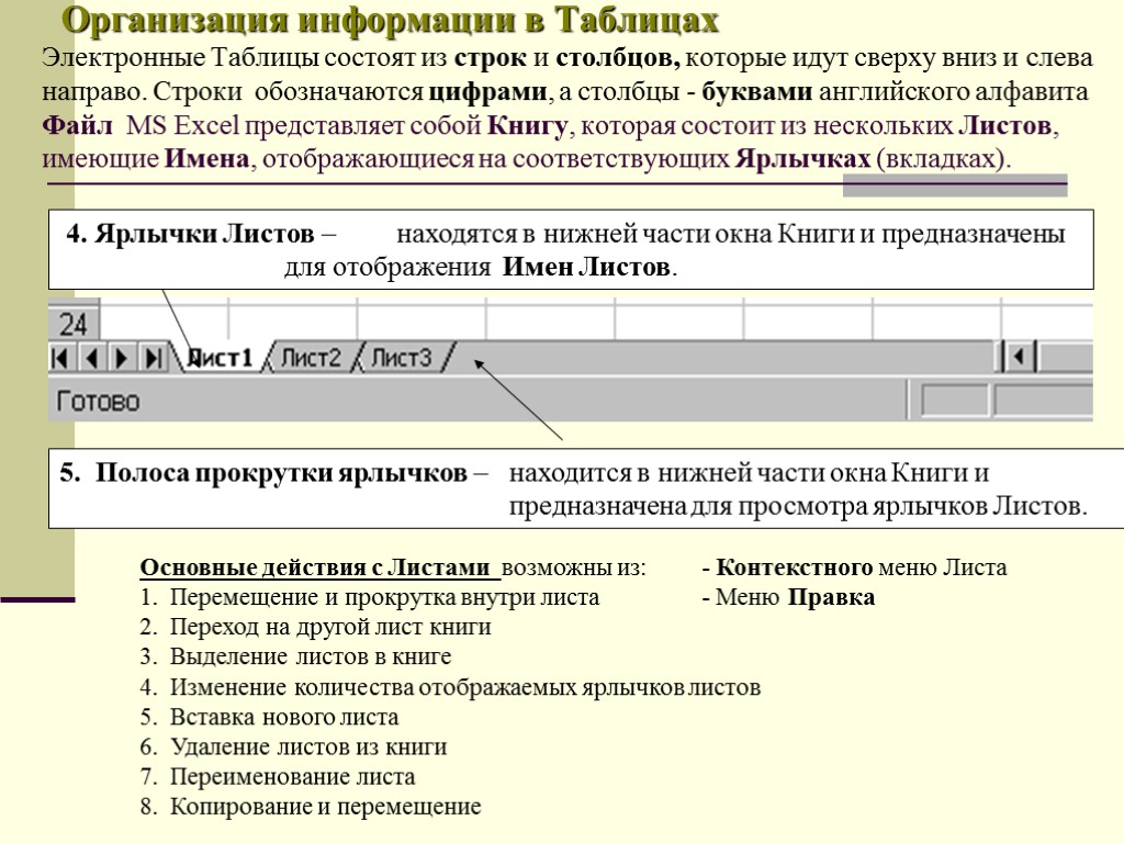 Организация информации в Таблицах Электронные Таблицы состоят из строк и столбцов, которые идут сверху